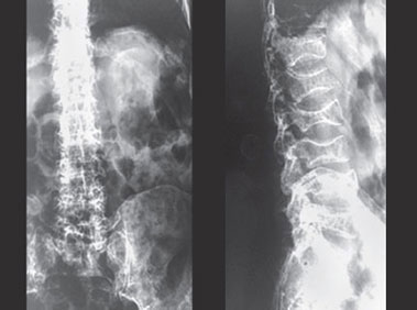 Jaypeedigital Ebook Reader